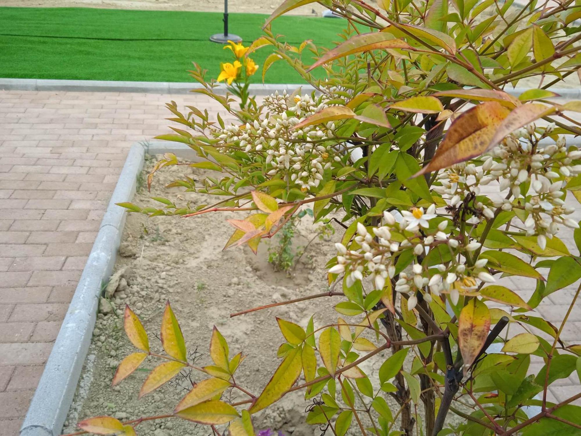 Sylias Village Skala Korinou Zewnętrze zdjęcie